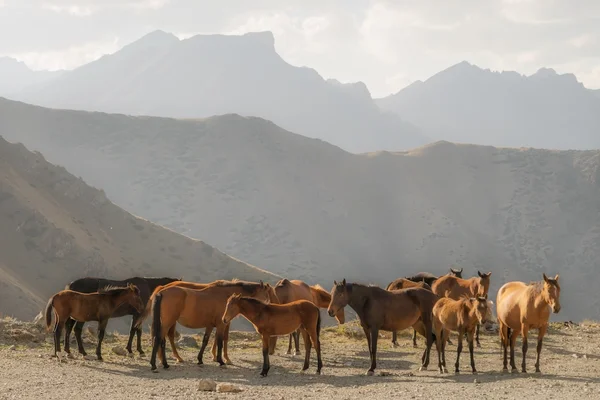 Travel photograph from Kyrgyzstan