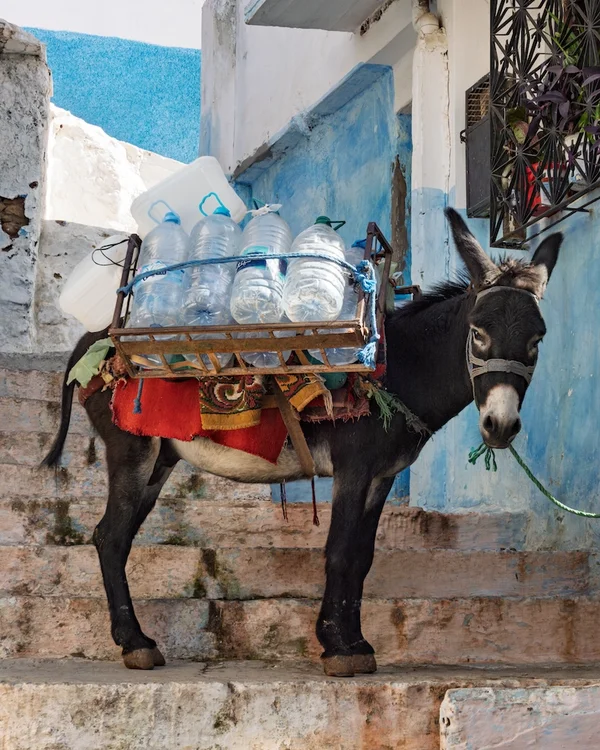 Travel photograph from Morocco